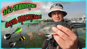 Тейл-спиннеры: Окунь проснулся! Микроджиг на Химкинском водохранилище