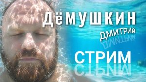 Мобилизация и перспективы (Дмитрий Демушкин)