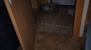 аниматроник в реальной жизни последняя история - трейлер
