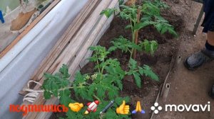 🖋️🚀МОИ ЛЮБИМКИ ❤️ 🙏♥️ ВСЕГДА ВСЁ ВМЕСТЕ 💃🔥 МОИ БУДНИ 🚀🖋️