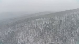 Видео от Красноярская тайга. Фотоловушки