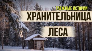 Хранительница леса Истории из жизни | Детективы | Аудио рассказы|