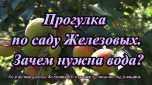 Прогулка по саду Железовых. Зачем нужна вода.