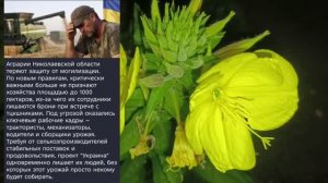 Николаев 1 августа 2026 года (новости)