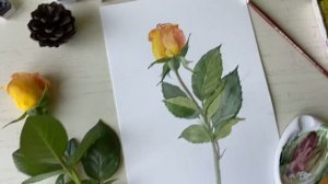 Как нарисовать ЖЁЛТУЮ РОЗУ акварелью 🌹  Пошаговый урок для начинающих