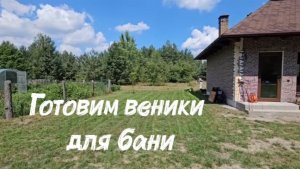Простая жизнь простых людей в лесу. Встретились с друзьями из Германии. Готовим веники для бани
