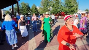 1 августа. Ромашки белые...