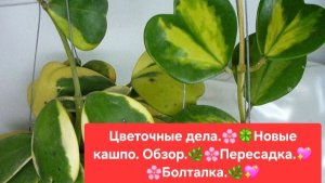 ЦВЕТОЧНЫЕ ДЕЛА.🌸🍀 НОВЫЕ КАШПО-ОБЗОР. 💖🌷ПЕРЕСАДКА. 🍀БОЛТАЛКА.🌺🌳