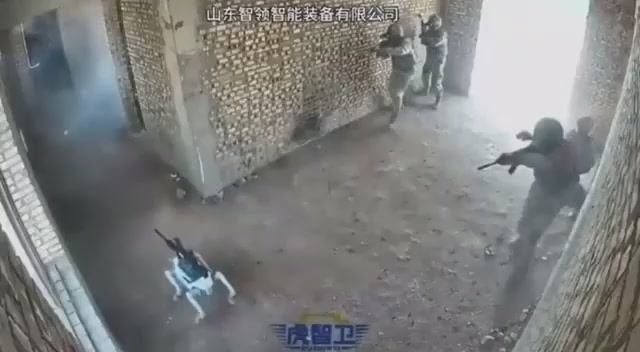 ����� �������� ������� ������ � �������� ���������