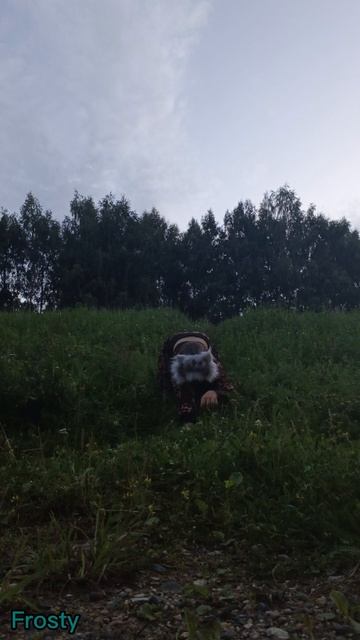 вот видосик. чит. опис.