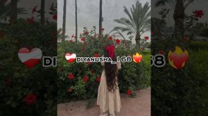 Цыганская мелодия 🪽😍