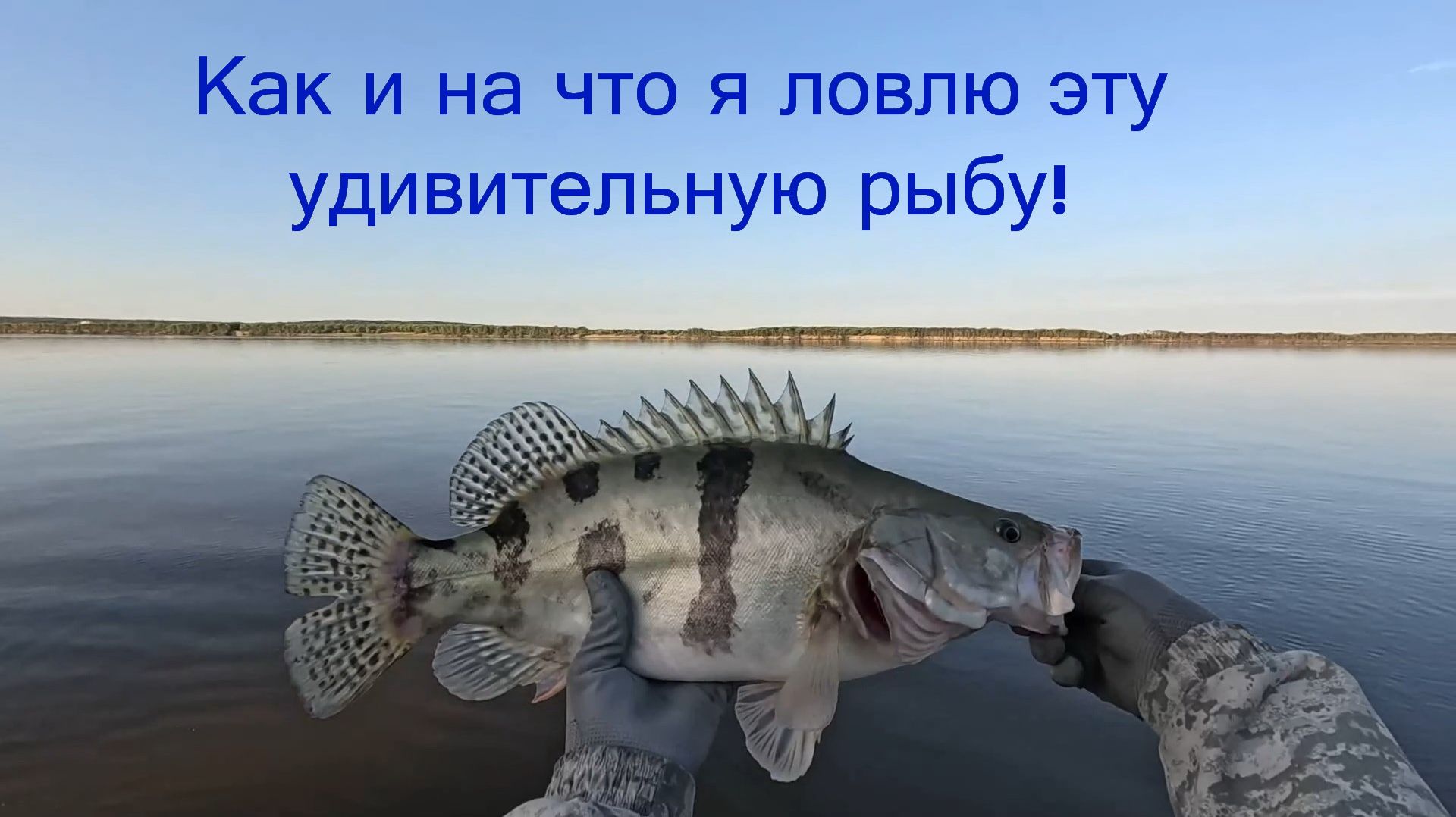 Как и на что я ловлю эту удивительную рыбу!