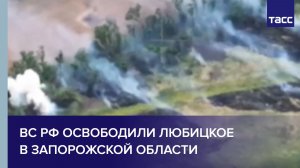 ВС РФ освободили Любицкое в Запорожской области