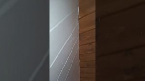 1000066067.mp4 (Собака слушает о устройстве анемостата вентиляции, планки на 2 эт. в доме А-фрейм)