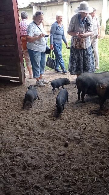 Смешные такие.