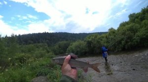 НЕПРОЛАЗНАЯ РЕКА СИБИРИ# ХАРИУС КЛЮЁТ ИЗ ПОД КОРЯГИ#  ПРОБРАЛИСЬ ЧЕРЕЗ ДЕБРИ ТАЙГИ НА РЕКУ!!!