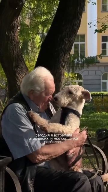 Очарование😍🥰🐶🐕🐈