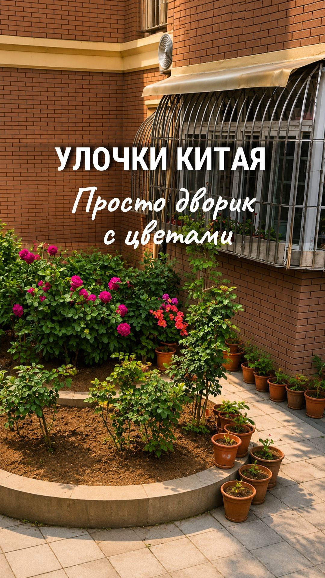 Улочки Китая. Дворик с цветами