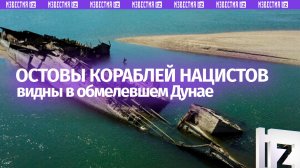 Обмелевший Дунай обнажил затопленные в 1944 году немецкие корабли