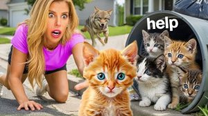 😱 Я СПАС 5 БРОШЕННЫХ КОТЯТ ОТ НАПАДЕНИЯ КОЙОТА! 🚨 Экстремальная погоня! 🔥❌