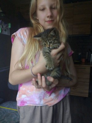 ищем парней девушек пишите уомм и найдём