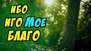 Ибо иго Мое благо - Василий Савич. Христианские проповеди
