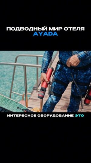 Подводный мир отеля AYADA MALDIVES