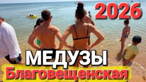 Аномалия Черное море  #Благовещенская 2026 Центральный пляж