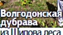 За жисть.