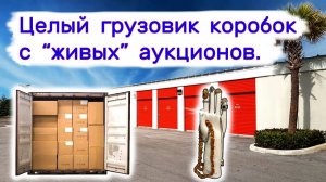 Целый грузовик коробок с  живых  аукционов.