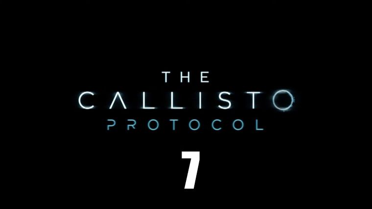 The Callisto Protocol