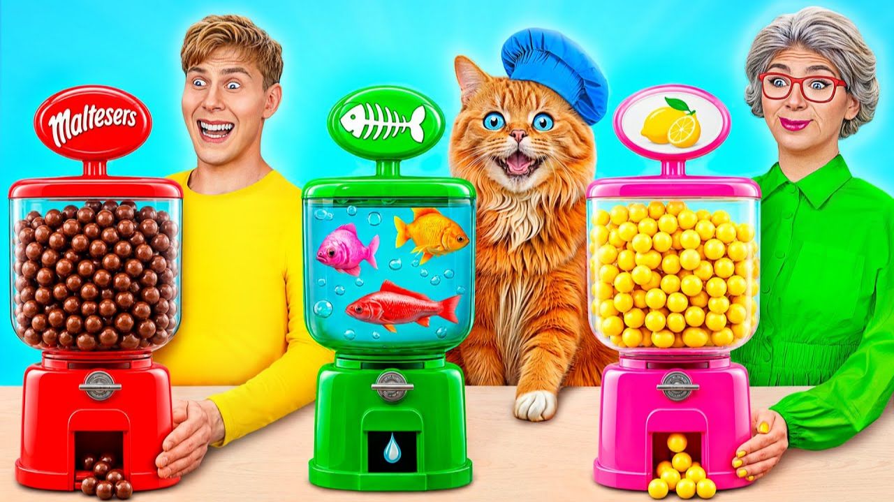 Кулинарный Челлендж# Я против Бабушки с Котиком # Фантастические Лайфхаки с Едой от TeenDO Chal