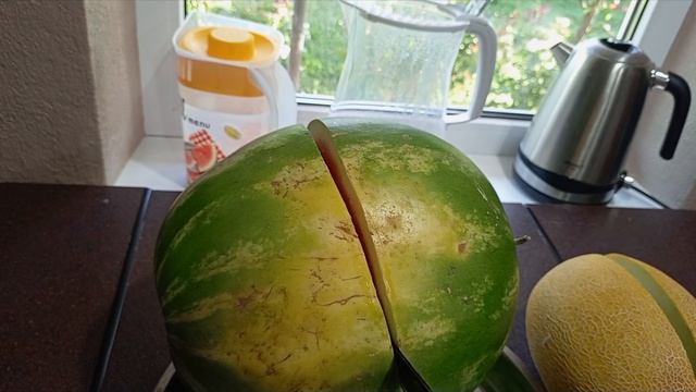 Переехали на ЮгНаступила жараПриезжала ПолинаСобираю урожай.