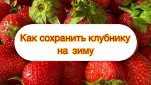 Как сохранить клубнику на зиму
