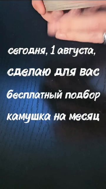 ввожу новую рубрику, детали в комментах