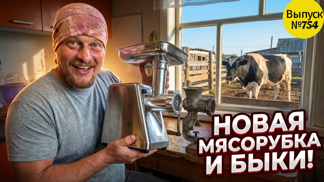 Что едят наши быки? Почему нам пришлось купить новую мясорубку. Жизнь в Омской деревне.