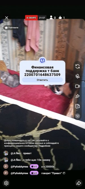 Пробный эфир