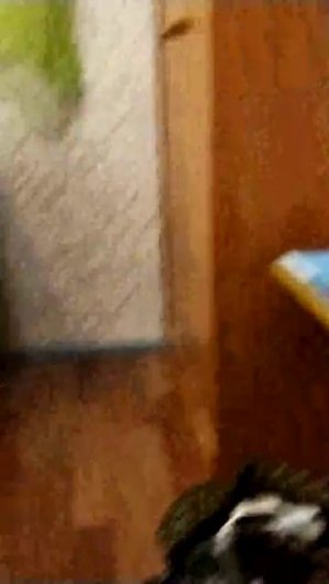 01-08-2026
