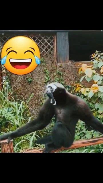 Как ощущается глоток пива в пятницу вечером)))Подписываемся 😉