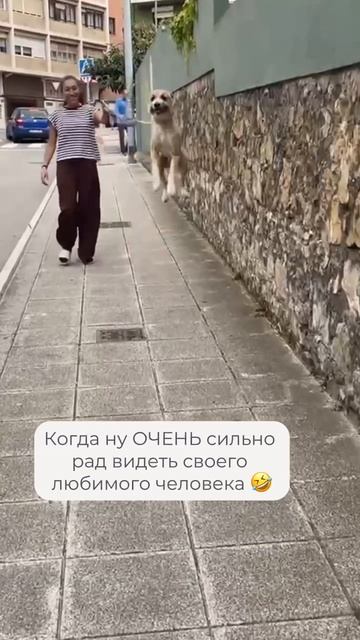 Когда ну ОЧЕНЬ сильно рад 😍