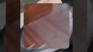 1000066079.mp4 (Собака слушает о устройстве анемостата вентиляции, планки на 2 эт. в доме А-фрейм)