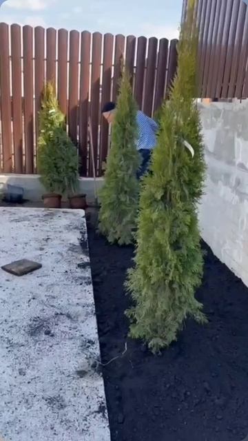Ландшафтные работы Магнитогорск