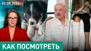 Что увидел Лукашенко в Брестской области / Как уберечь детей от ЧП / Скандал со щенками в Борисове