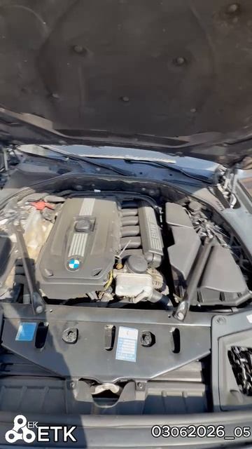 Диагностика BMW F10 N53