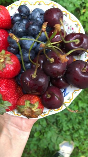 Лето, лето - ты какого цвета?) #лето2026 #ягоды #любовь #счастье