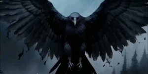 Ворон на английском