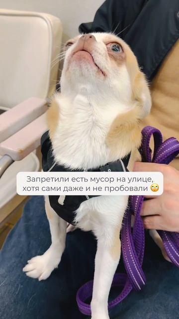 Несправедливость..😤