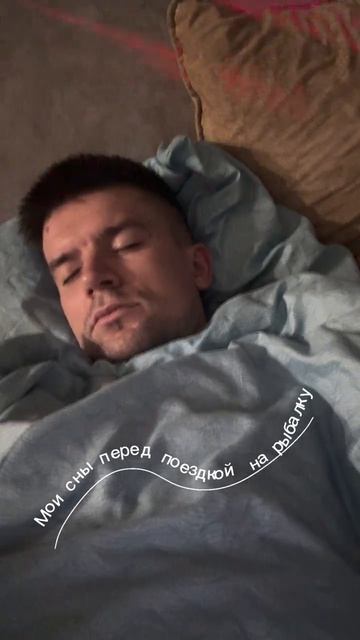 Сны при температуре 40•