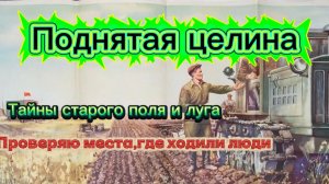 Поднятая целина. Тайны старого поля и луга. Поиск с металлоискателем по местам,где ходили люди.