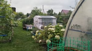 Очень вкусные пирожки, простой рецепт. А вы делали так.